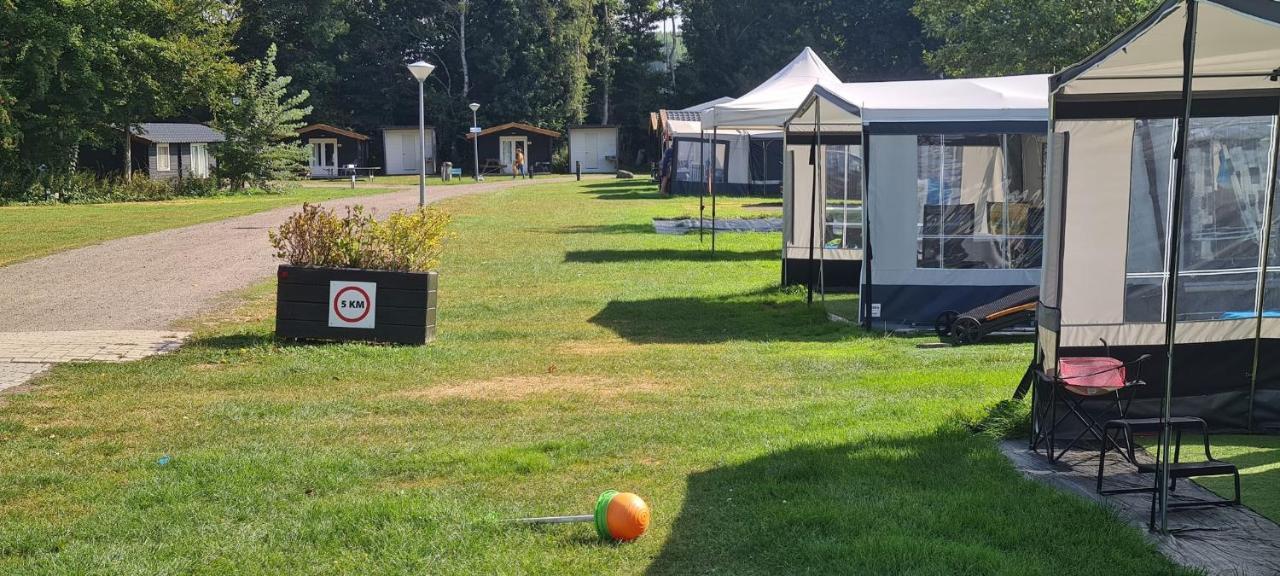 't Urkerbos - 4 Persoons Brabantse Blokhut Campingplatz *